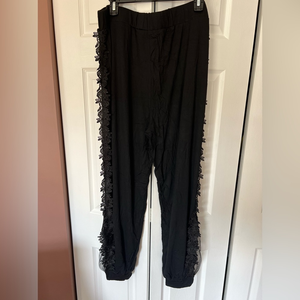 NWT Women dress pants, SZ2X